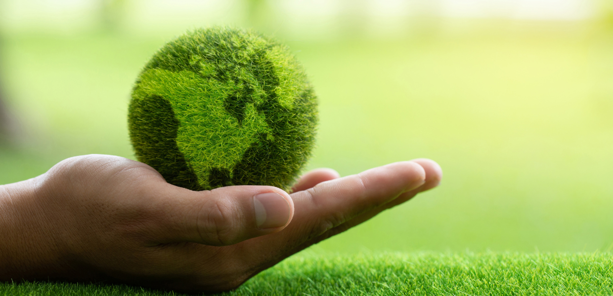 Leia mais sobre o artigo Como organizar eventos corporativos sustentáveis